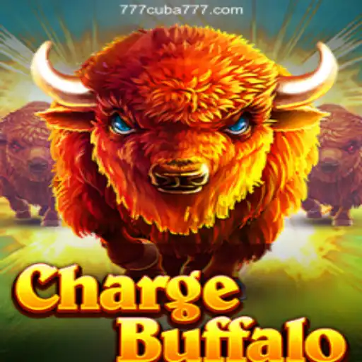 ChargeBuffalo: A Comprehensive Introduction and Analysis